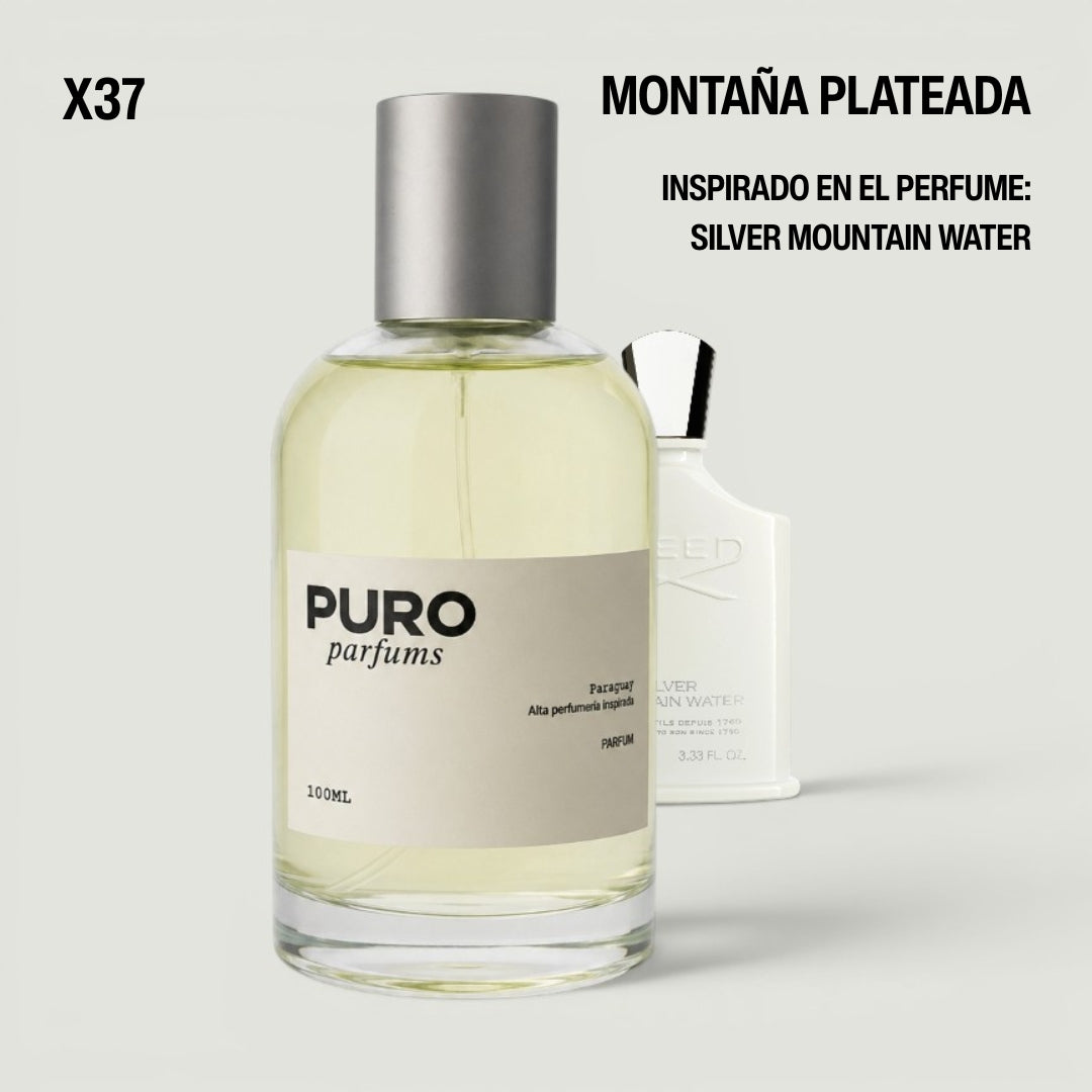 Montaña Plateada - INSPIRADO EN SILVER MOUNTAIN WATER